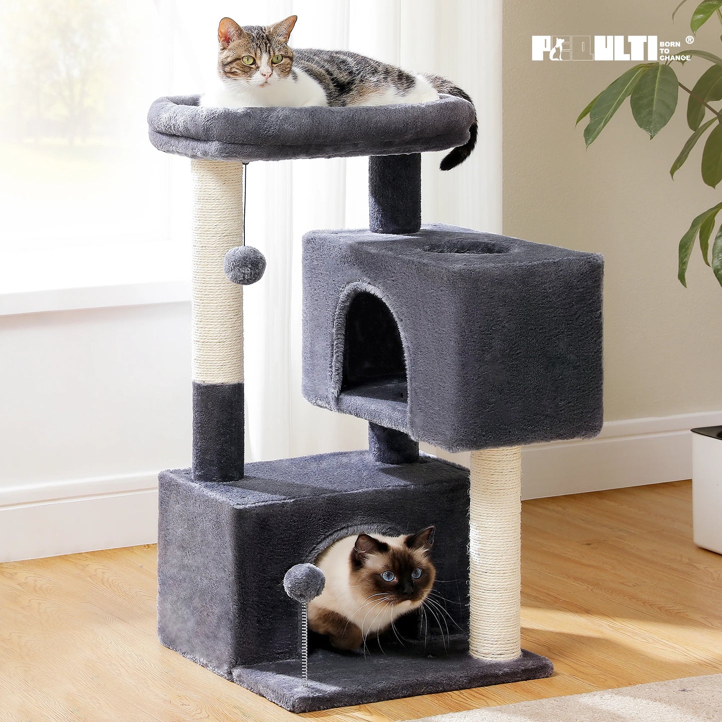 PAWZ Road Cat Tree Indoor Multi-Level Tower With Condos