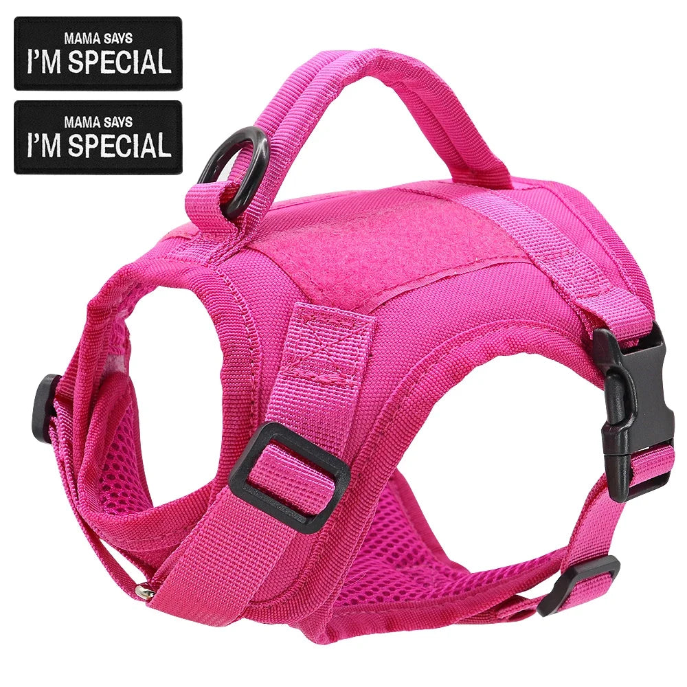 Nylon Cat Harness Vest With Handle Military Tactical Cats