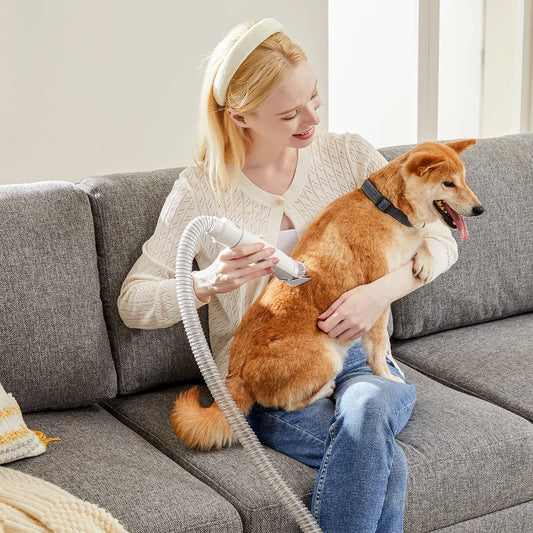 Pet Grooming Vacuum Kit With Cordless Clippers And 3 Modes