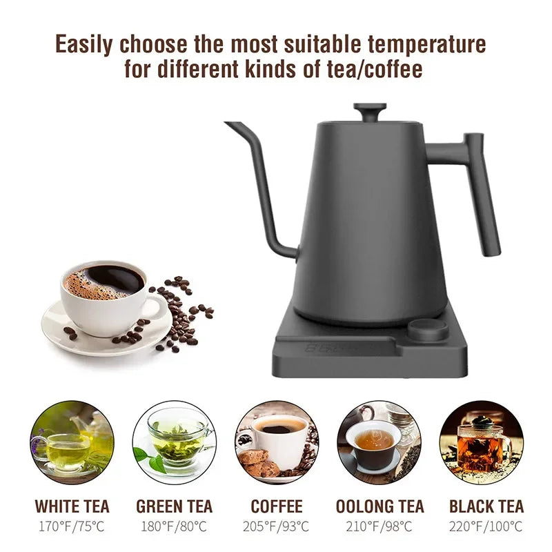 Terleia 1000W Gooseneck Electric Kettle With Temperature Control
