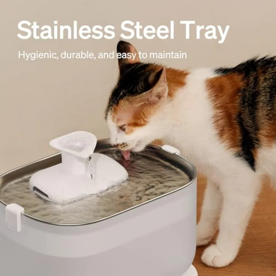 Cat Water Fountain Wireless Pump Ultra Quiet Pet Dispenser