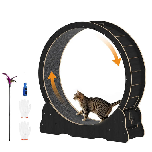 Cat Exercise Wheel Indoor Quiet Treadmill With Detachable Runway