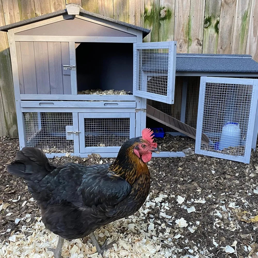 Outdoor Wooden Chicken Coop For 2 Chickens With Waterproof Roof