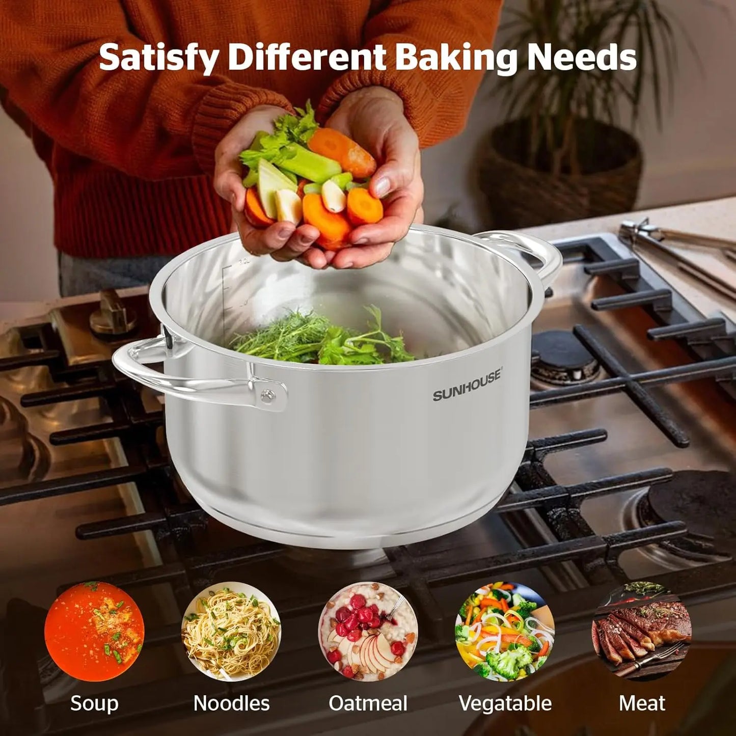 Stainless Steel Stock Pot With Visible Lid Induction Compatible