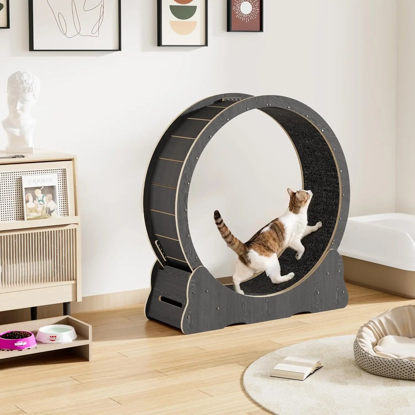 Cat Exercise Wheel Indoor Quiet Treadmill With Detachable Runway