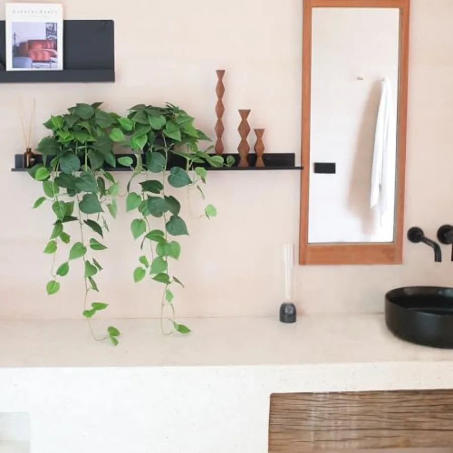 OLOEY Faux Pothos Hanging Plants 2 Silk Ivy Vines Indoor