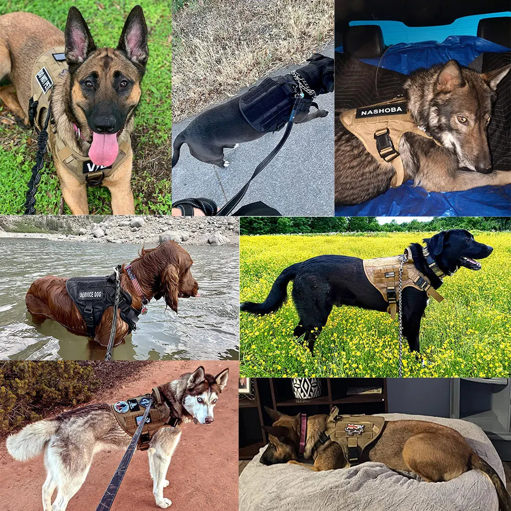 PETRAVEL Military Large Dog Harness Vest With Leash Set