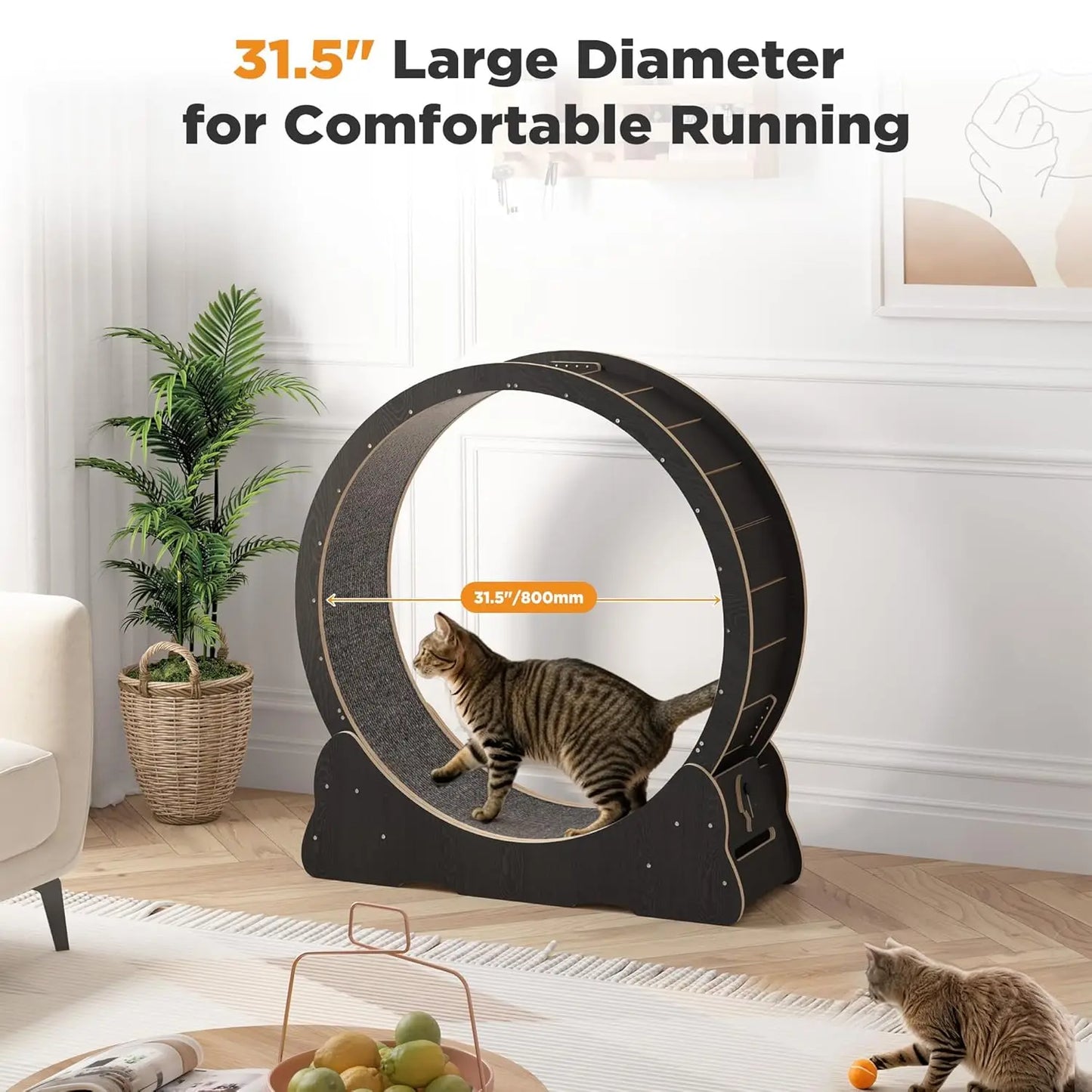 Cat Exercise Wheel Indoor Quiet Treadmill With Detachable Runway